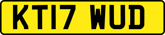 KT17WUD