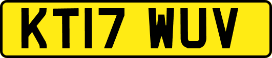 KT17WUV