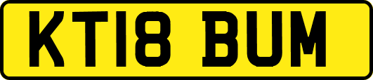 KT18BUM