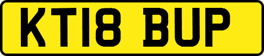 KT18BUP