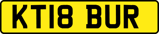KT18BUR