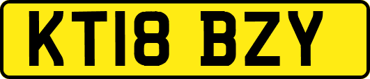 KT18BZY