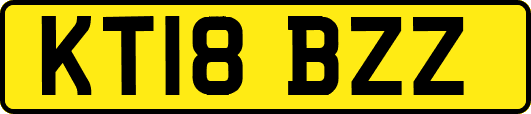 KT18BZZ