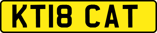 KT18CAT