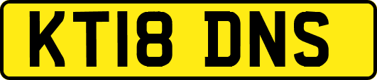 KT18DNS