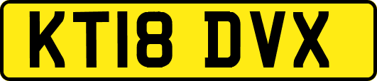 KT18DVX