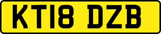 KT18DZB