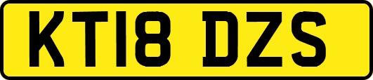 KT18DZS
