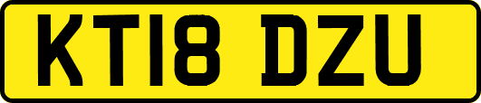KT18DZU