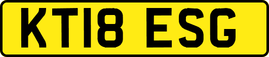 KT18ESG