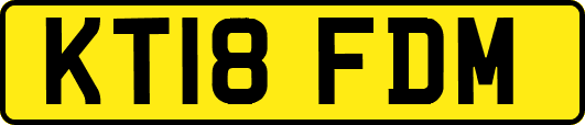 KT18FDM