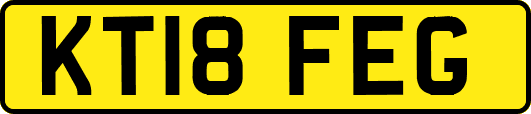 KT18FEG