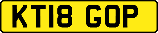 KT18GOP