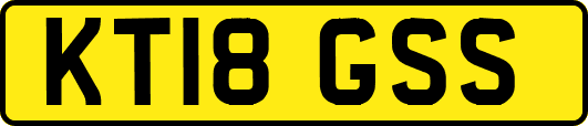 KT18GSS