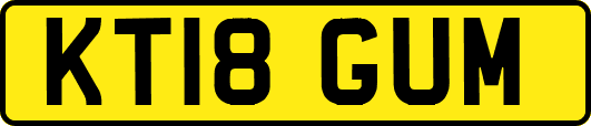 KT18GUM