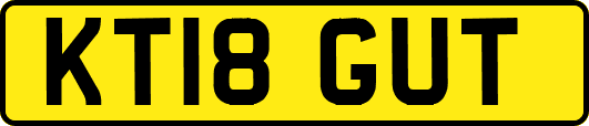 KT18GUT