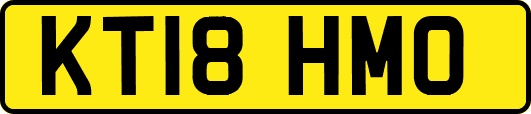 KT18HMO