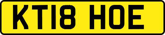 KT18HOE