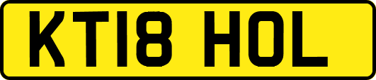 KT18HOL