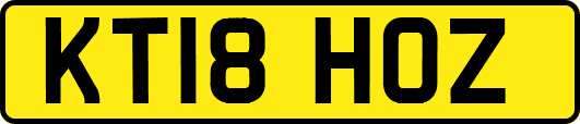 KT18HOZ