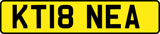 KT18NEA