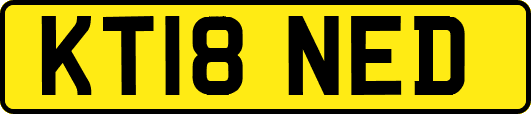 KT18NED