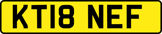 KT18NEF