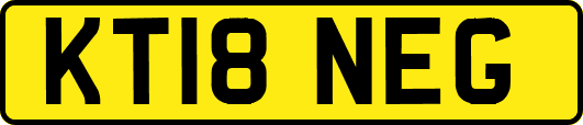 KT18NEG
