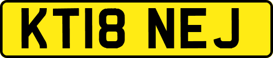 KT18NEJ