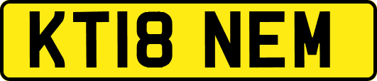 KT18NEM