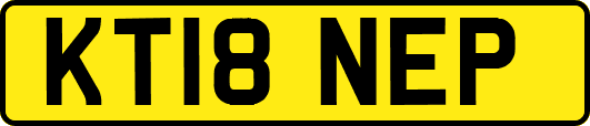 KT18NEP