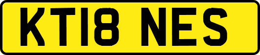 KT18NES