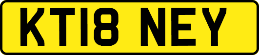 KT18NEY