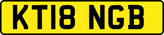 KT18NGB