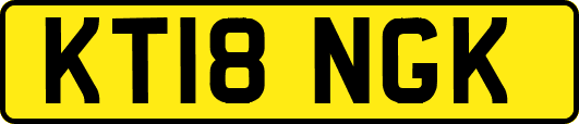 KT18NGK