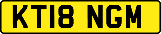 KT18NGM