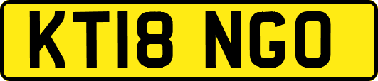 KT18NGO