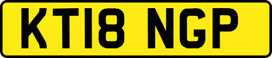 KT18NGP