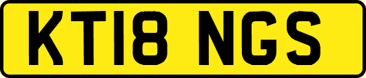 KT18NGS