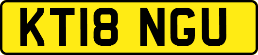KT18NGU