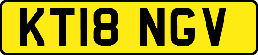 KT18NGV
