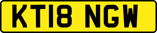 KT18NGW