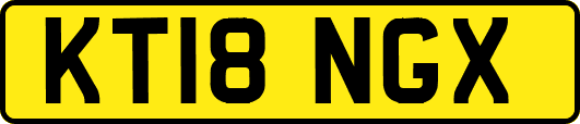 KT18NGX