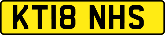 KT18NHS
