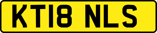 KT18NLS