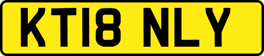 KT18NLY