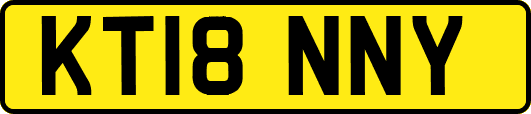 KT18NNY