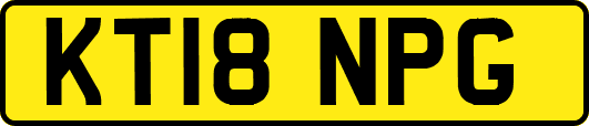 KT18NPG