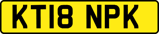 KT18NPK