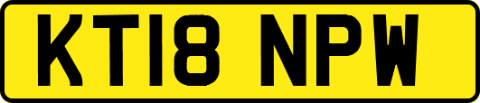 KT18NPW